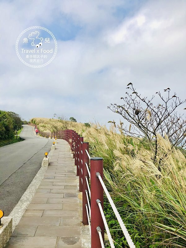 秀才步道｜老少咸宜，第一次登山就上手！櫻花芒草落羽松，四季美景交替，制高點輕鬆GET！ @魚兒 x 牽手明太子的「視」界旅行