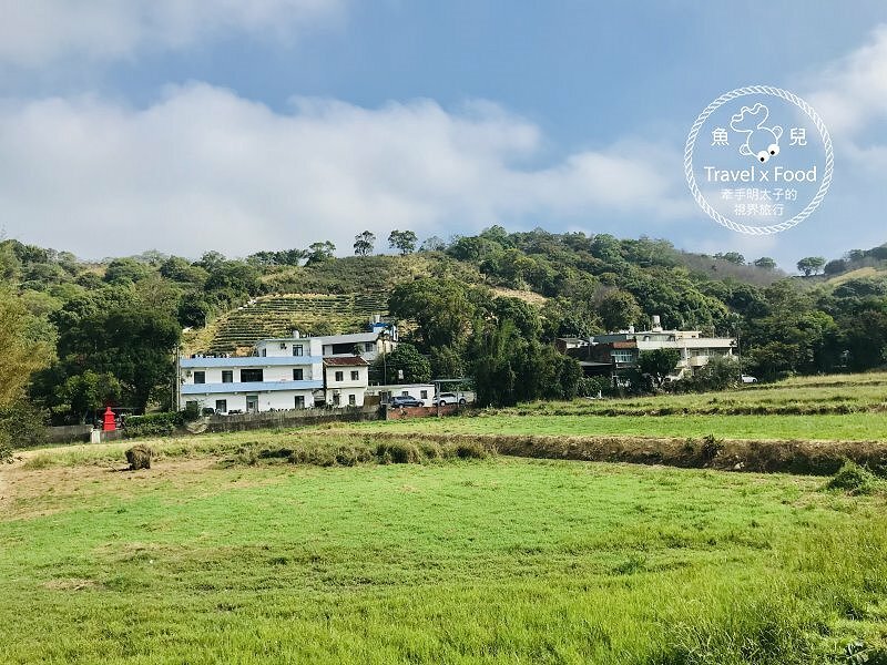 秀才步道｜老少咸宜，第一次登山就上手！櫻花芒草落羽松，四季美景交替，制高點輕鬆GET！ @魚兒 x 牽手明太子的「視」界旅行