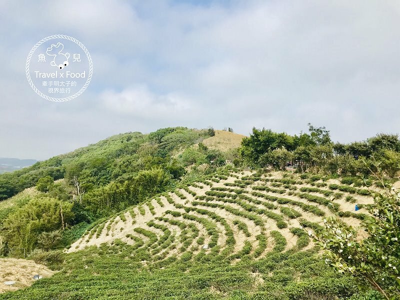 秀才步道｜老少咸宜，第一次登山就上手！櫻花芒草落羽松，四季美景交替，制高點輕鬆GET！ @魚兒 x 牽手明太子的「視」界旅行