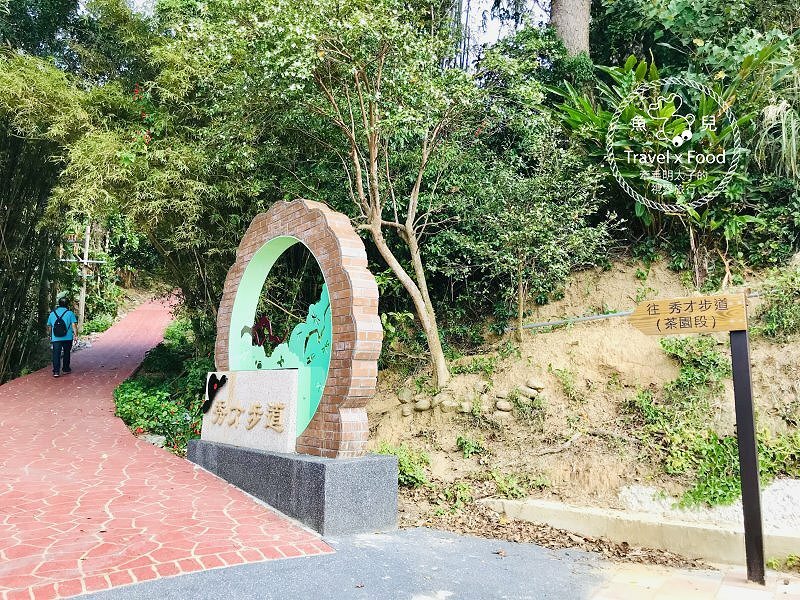 秀才步道｜老少咸宜，第一次登山就上手！櫻花芒草落羽松，四季美景交替，制高點輕鬆GET！ @魚兒 x 牽手明太子的「視」界旅行