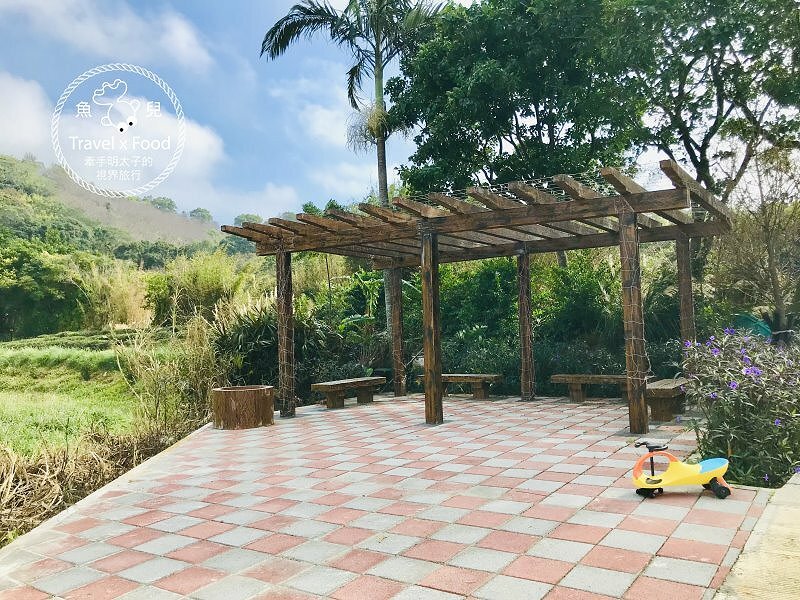 秀才步道｜老少咸宜，第一次登山就上手！櫻花芒草落羽松，四季美景交替，制高點輕鬆GET！ @魚兒 x 牽手明太子的「視」界旅行