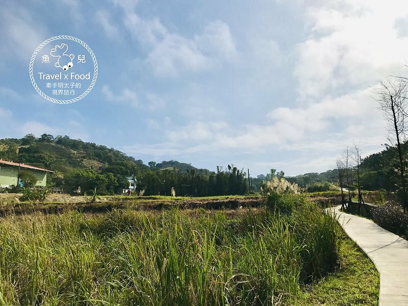 秀才步道｜老少咸宜，第一次登山就上手！櫻花芒草落羽松，四季美景交替，制高點輕鬆GET！ @魚兒 x 牽手明太子的「視」界旅行
