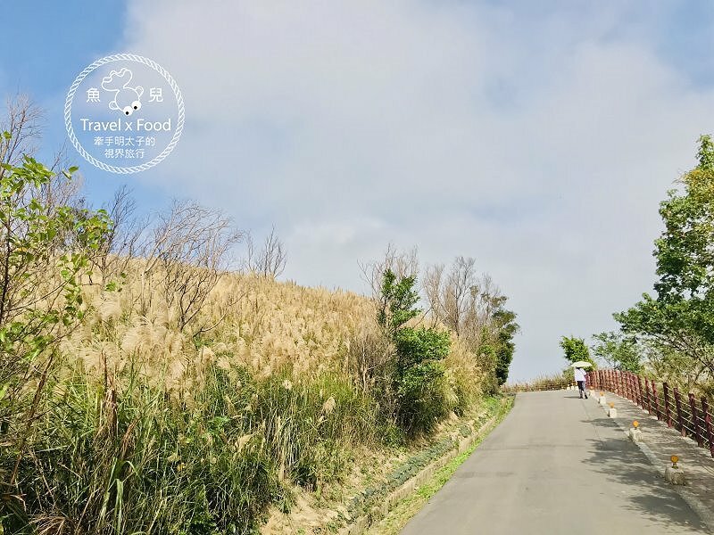 秀才步道｜老少咸宜，第一次登山就上手！櫻花芒草落羽松，四季美景交替，制高點輕鬆GET！ @魚兒 x 牽手明太子的「視」界旅行