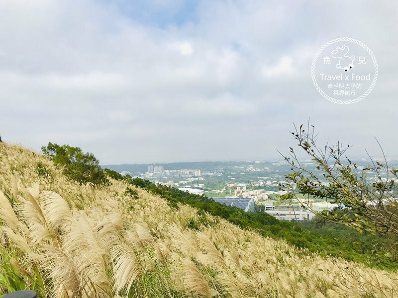 秀才步道｜老少咸宜，第一次登山就上手！櫻花芒草落羽松，四季美景交替，制高點輕鬆GET！ @魚兒 x 牽手明太子的「視」界旅行