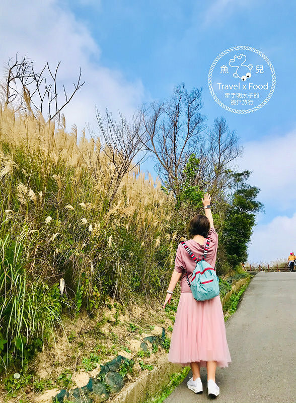秀才步道｜老少咸宜，第一次登山就上手！櫻花芒草落羽松，四季美景交替，制高點輕鬆GET！ @魚兒 x 牽手明太子的「視」界旅行