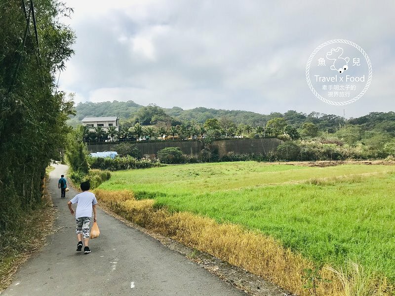 秀才步道｜老少咸宜，第一次登山就上手！櫻花芒草落羽松，四季美景交替，制高點輕鬆GET！ @魚兒 x 牽手明太子的「視」界旅行
