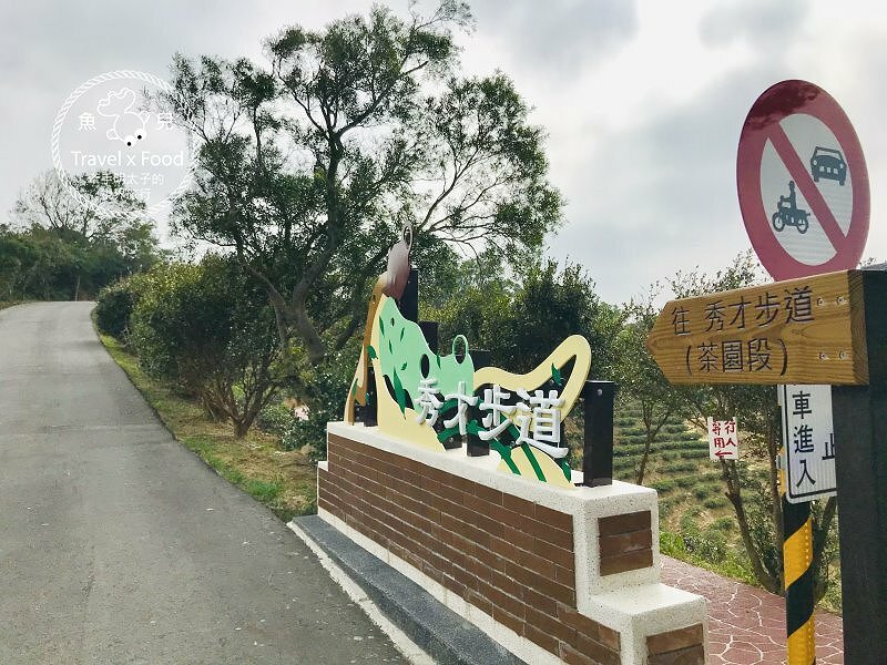 秀才步道｜老少咸宜，第一次登山就上手！櫻花芒草落羽松，四季美景交替，制高點輕鬆GET！ @魚兒 x 牽手明太子的「視」界旅行