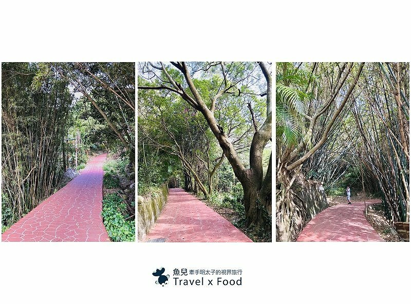 秀才步道｜老少咸宜，第一次登山就上手！櫻花芒草落羽松，四季美景交替，制高點輕鬆GET！ @魚兒 x 牽手明太子的「視」界旅行