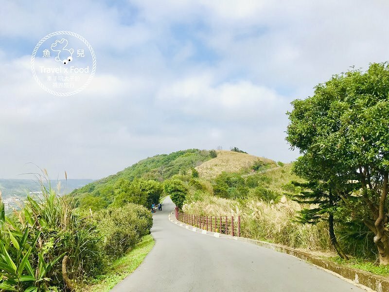 秀才步道｜老少咸宜，第一次登山就上手！櫻花芒草落羽松，四季美景交替，制高點輕鬆GET！ @魚兒 x 牽手明太子的「視」界旅行