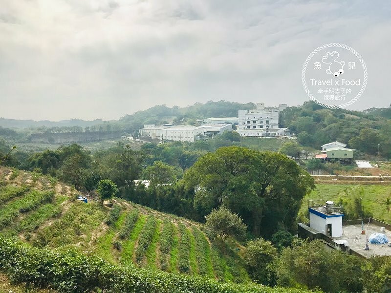 秀才步道｜老少咸宜，第一次登山就上手！櫻花芒草落羽松，四季美景交替，制高點輕鬆GET！ @魚兒 x 牽手明太子的「視」界旅行