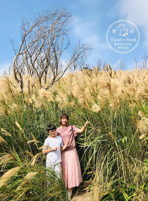 秀才步道｜老少咸宜，第一次登山就上手！櫻花芒草落羽松，四季美景交替，制高點輕鬆GET！ @魚兒 x 牽手明太子的「視」界旅行