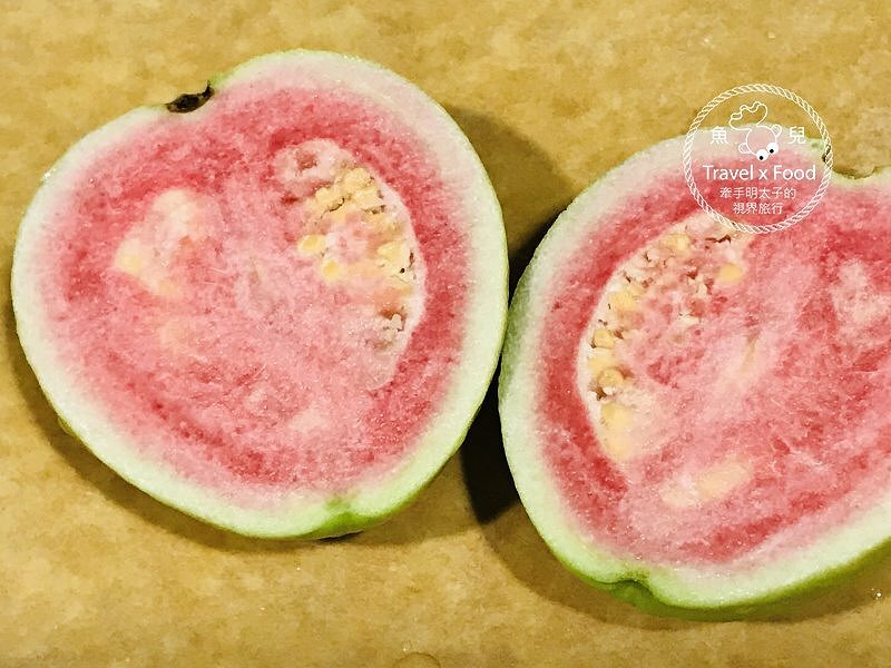 秀才步道｜老少咸宜，第一次登山就上手！櫻花芒草落羽松，四季美景交替，制高點輕鬆GET！ @魚兒 x 牽手明太子的「視」界旅行