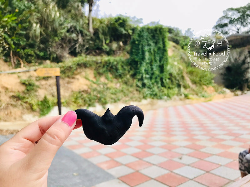 秀才步道｜老少咸宜，第一次登山就上手！櫻花芒草落羽松，四季美景交替，制高點輕鬆GET！ @魚兒 x 牽手明太子的「視」界旅行