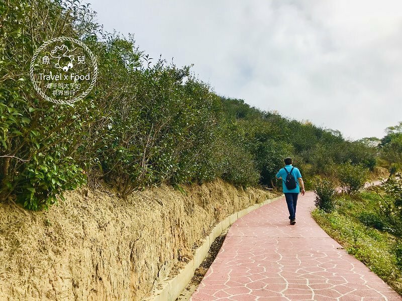秀才步道｜老少咸宜，第一次登山就上手！櫻花芒草落羽松，四季美景交替，制高點輕鬆GET！ @魚兒 x 牽手明太子的「視」界旅行