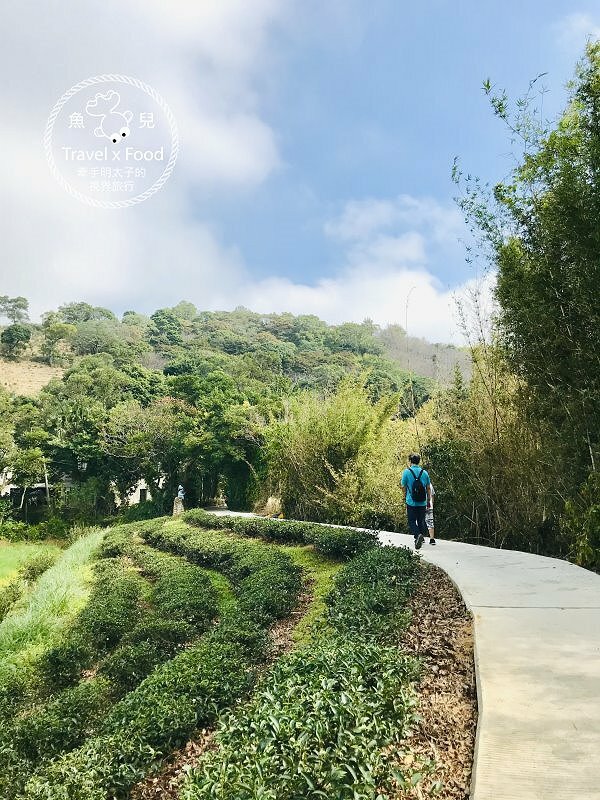 秀才步道｜老少咸宜，第一次登山就上手！櫻花芒草落羽松，四季美景交替，制高點輕鬆GET！ @魚兒 x 牽手明太子的「視」界旅行