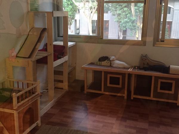 Glocke Bakery手做甜點工作室:Glocke Bakery手做甜點工作室-頭一間甜點店能讓我一訪再訪 吃的不只是美味 更是對甜點的堅持 最近有黃阿瑪的分身大瑪到店喔!!