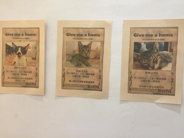 Glocke Bakery手做甜點工作室:Glocke Bakery手做甜點工作室-頭一間甜點店能讓我一訪再訪 吃的不只是美味 更是對甜點的堅持 最近有黃阿瑪的分身大瑪到店喔!!