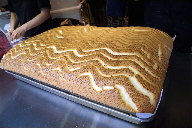 DSC02040_1 DSC02040_1