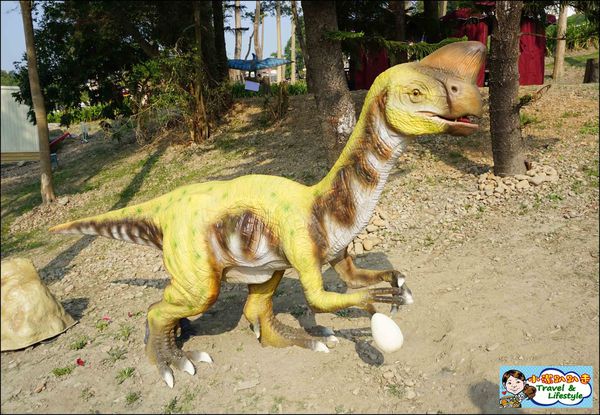 DSC06261.JPG DSC06261.JPG