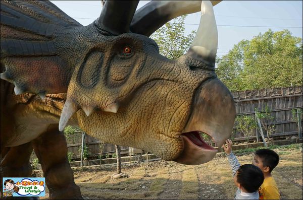 DSC06305.JPG DSC06305.JPG