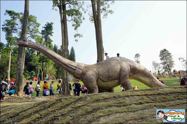 DSC06286.JPG DSC06286.JPG