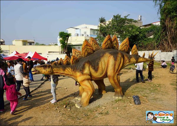 DSC06230.JPG DSC06230.JPG