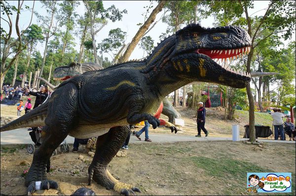 DSC06270.JPG DSC06270.JPG