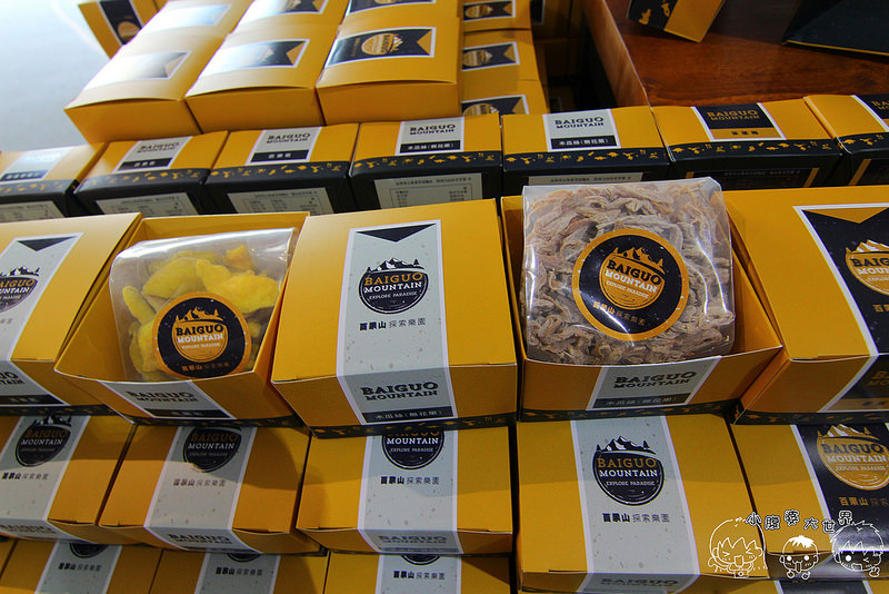 百果山親子探索樂園 095