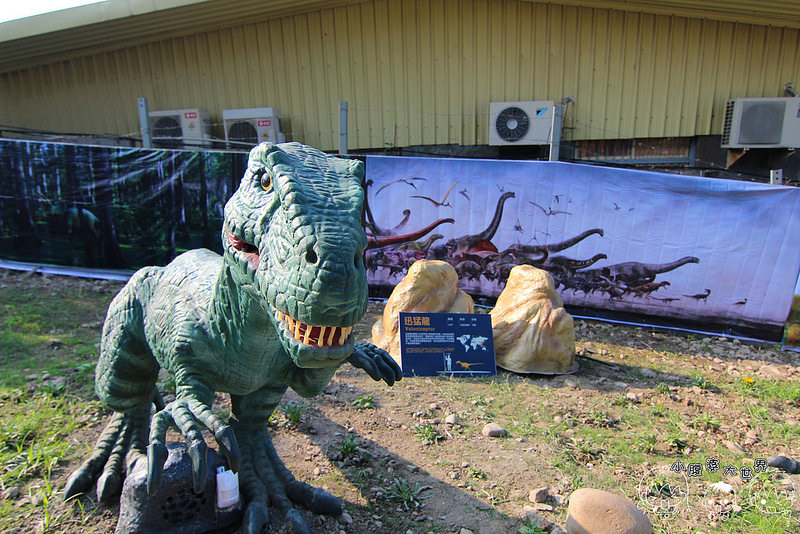 百果山親子探索樂園 171