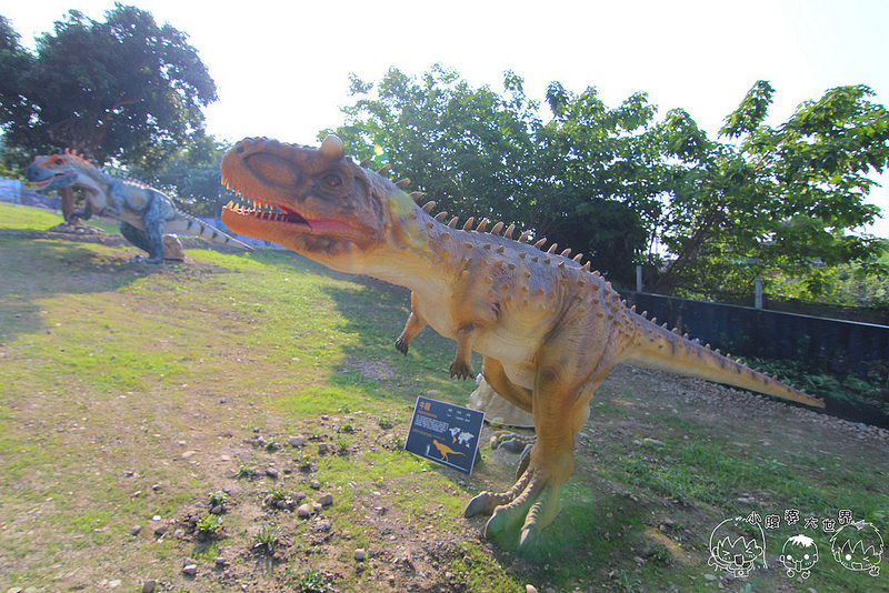 百果山親子探索樂園 168