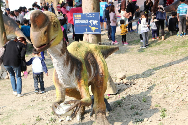 IMG_2736.jpg IMG_2736.jpg