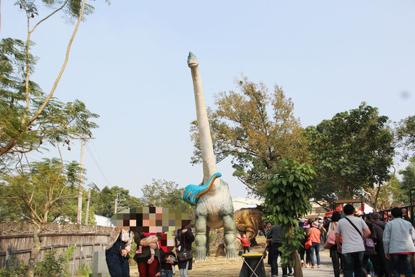 IMG_2779.jpg IMG_2779.jpg