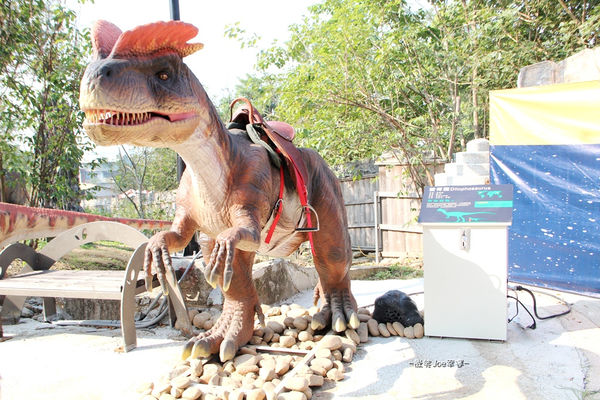 IMG_2537.jpg IMG_2537.jpg