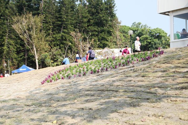 IMG_2717.jpg IMG_2717.jpg