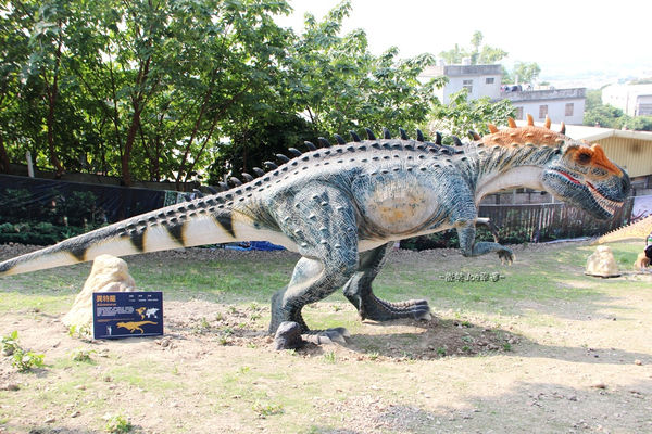 IMG_2733.jpg IMG_2733.jpg