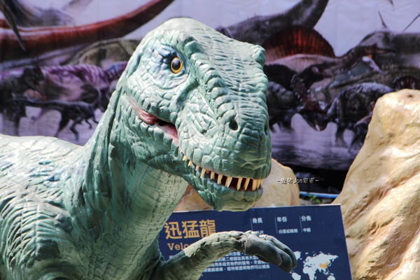 IMG_2743.jpg IMG_2743.jpg