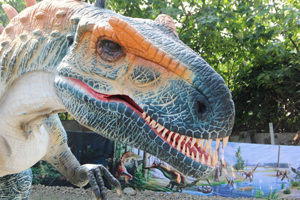 IMG_2735.jpg IMG_2735.jpg