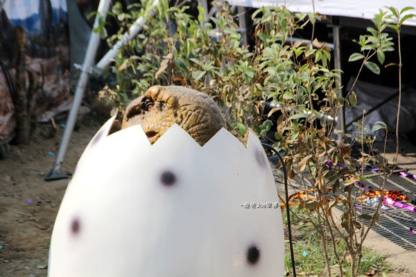 IMG_2773.jpg IMG_2773.jpg