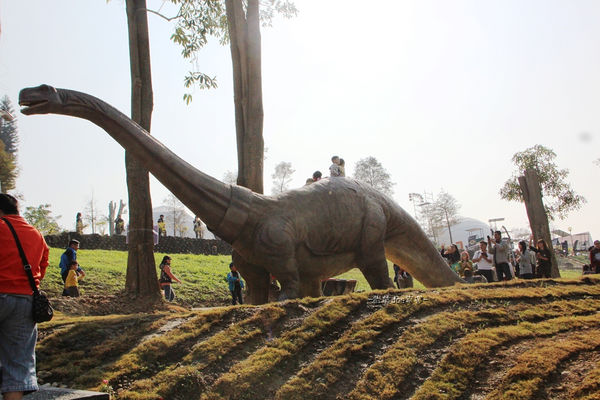 IMG_2556.jpg IMG_2556.jpg