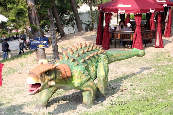 IMG_2730.jpg IMG_2730.jpg