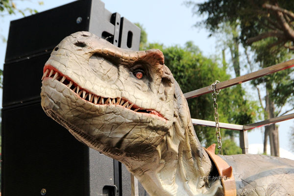 IMG_2797.jpg IMG_2797.jpg