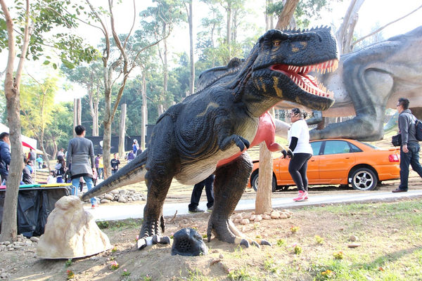 IMG_2522.jpg IMG_2522.jpg