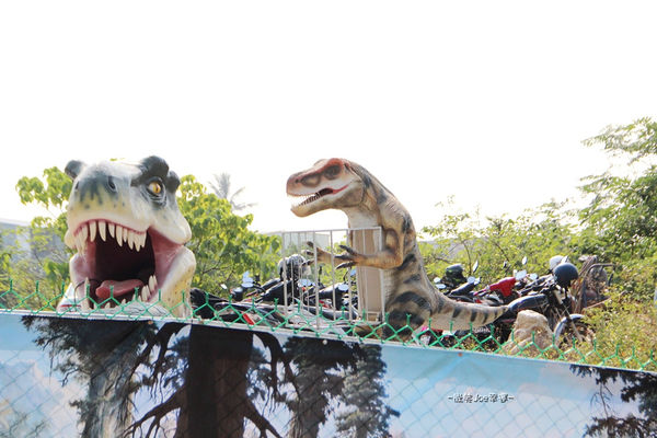 IMG_2713.jpg IMG_2713.jpg