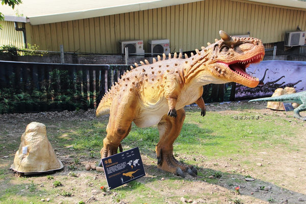 IMG_2738.jpg IMG_2738.jpg