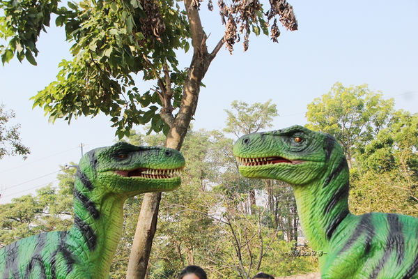 IMG_2533.jpg IMG_2533.jpg