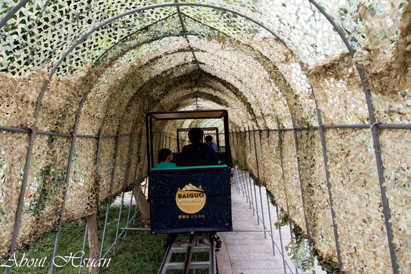 百果山-14.JPG