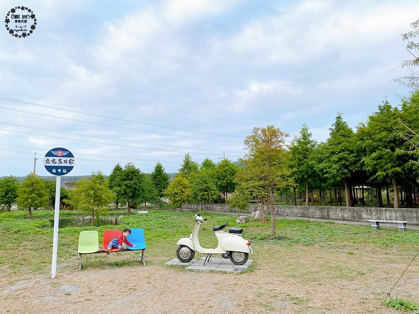 2020泰安落羽松祕境，泰安國小旁，秋季落羽松季節 - Cyndi loves享食天堂