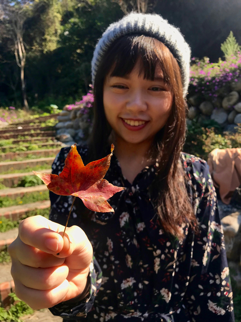 IMG_1493.jpg IMG_1493.jpg