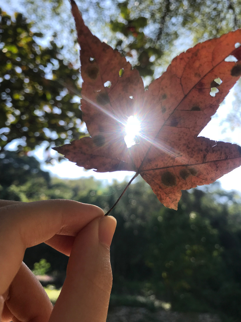 IMG_1486.jpg IMG_1486.jpg