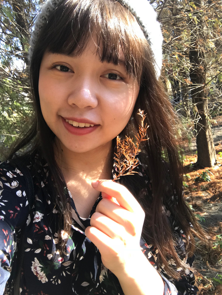 IMG_1529.jpg IMG_1529.jpg